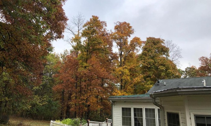 Nokesville Casa | heather house