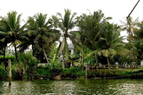 Kunnukara Casa | Heaven's homestay