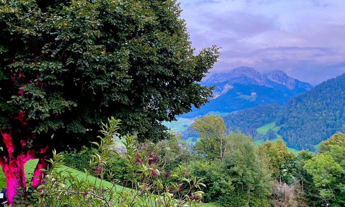 Rossiniere Apartamento | Heidi Chalet Alps - Experiencia única