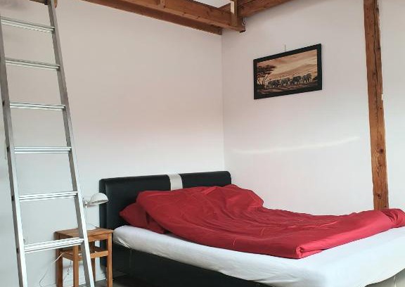 Osnabrueck Apartamento | Helle, moderne Altbauwohnung in Zentrumsnähe