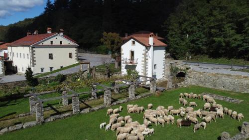 Matavun Casa | Hiška Kovačija