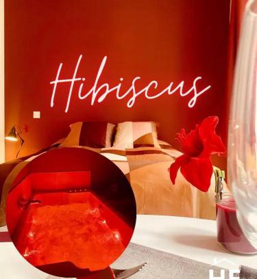 Montargis Apartamento | Hibiscus - Balnéo - Netflix & Chill