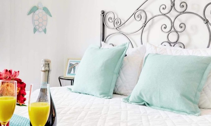Fort Myers River District Casa | Hibiscus House Bed & Breakfast Inn Turtle Room Bed-ADA