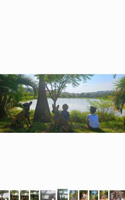 Kireka Casa | Hidden Gem homes