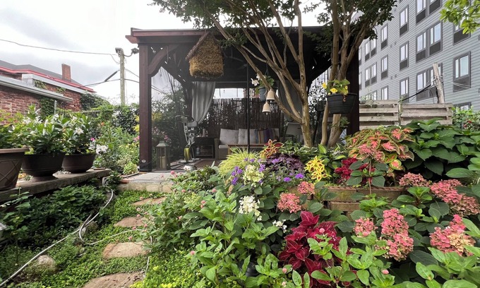 Spruce Hill Casa | Hidden Gem Townhome with 2 BRs -University City -near UPenn&Drexel