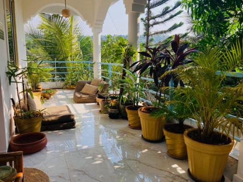 Ashvem Apartamento | Hidden Haven, Eden in India ! Quietest stay in Goa