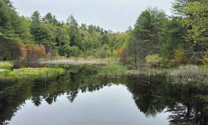 Narrowsburg Casa | Hidden Modern Retreat - Cozy house in marvelous Narrowsburg with WiFi & AC