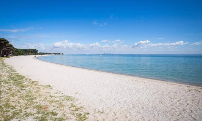 Portarlington Casa | Hidden Villa - Town Center; walk to everything!