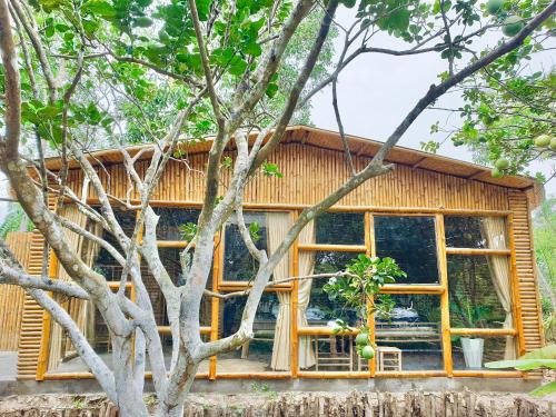 Ben Tre Hotel | Hide Away Bungalows in Ben Tre City