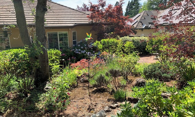 Cameron Park Casa | High-end exclusive quiet Eastwood Park neighborhood in beautiful Cameron Park