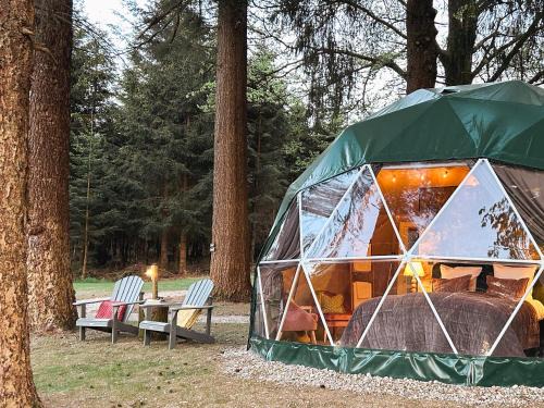 Hockai Otro | High Moor Glamping