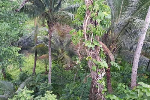Suva Casa | Hill Bottom Accommodation