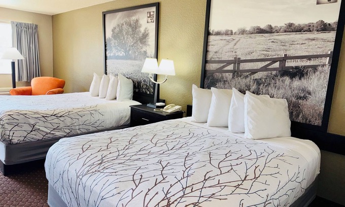 New Braunfels Hotel | Hill Country Inn & Suites - New Braunfels / Gruene
