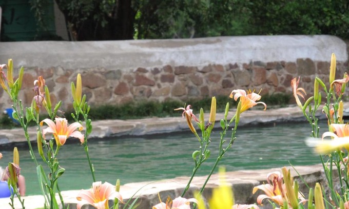 Kopanong Casa | Hillside Farm