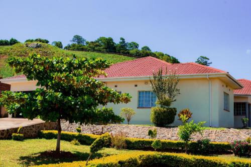 Blantyre Cama Y Desayuno | Hillside Luxury Lodge