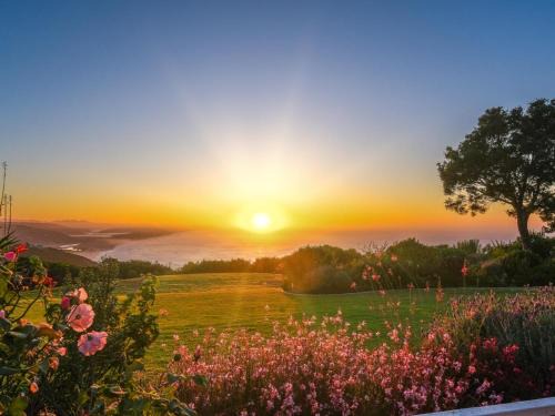 Victoria Bay Casa | Hilltop Boutique Hotel