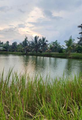Dantewara Chalet De Esquí | Himanshu fish and farm