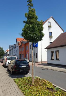 Ilmenau Apartamento | Himmelblau