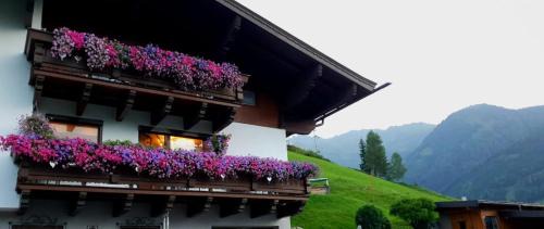 Mittersill Apartamento | Hinterreithlehen - Ferienwohnung am Bauernhof