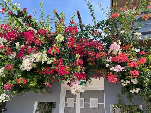 Manadhoo Casa | Hiri Inn