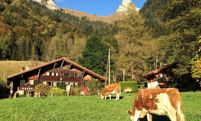 Les Plans-sur-Bex Chalet De Esquí | Histórico chalet de 1714, Les Plans-sur-Bex, Gryon-Villars-Les Diablerets