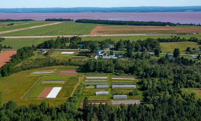 Maitland Otro | Historic farmhouse on organic veggie farm on the Bay of Fundy