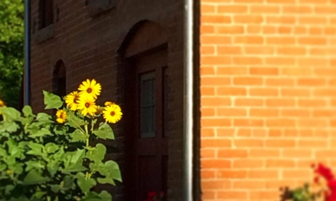 Old Town Casa | Alquiler Old Town Town Carriage House