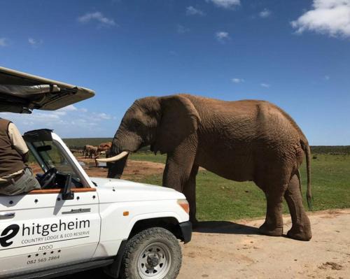 Addo Cabina | Hitgeheim Country Lodge