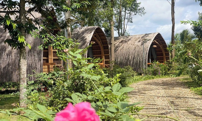 Buon Don Complejo | Hizo Garden Resort