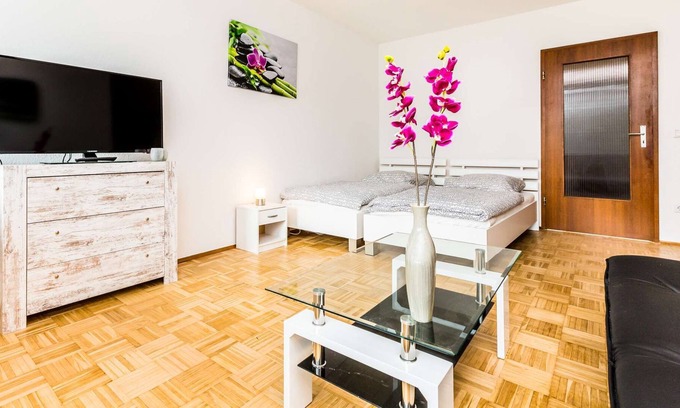 Baumberg Apartamento | HÖ01 large apartment with dryer and washing machine