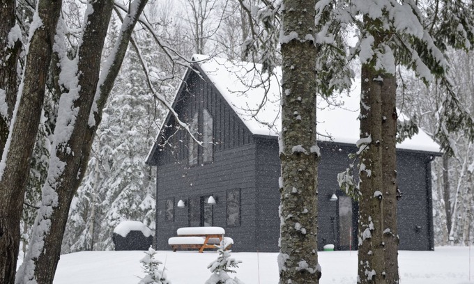 Herbster Cabina | Hodag House | Magical Cabin & Creature Comforts