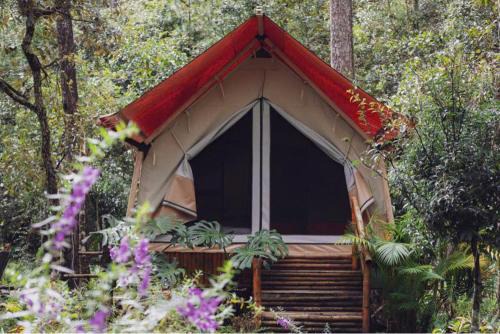 Phuong 10 Apartamento | Hodota Ankroet Resort