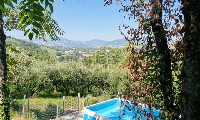 Rupoli Casa | Casa vacacional con barbacoa y piscina, en parte rodeado por un olivar
