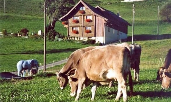 Flums Otro | Apartamento de vacaciones Flumserberg Bergheim para 1 - 6 personas con 3 dormitorios - Casa rural
