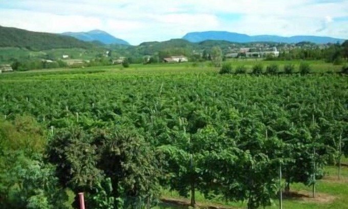 Pieve di Soligo Casa | Apartamento de vacaciones Pieve di Soligo para 1 - 4 personas con 2 dormitorios - Casa de vacaciones