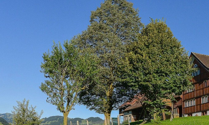 Ruete Otro | Apartamento de vacaciones Brülisau para 1 - 5 personas con 2 dormitorios - Casa rural