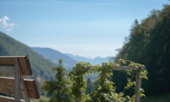 Gansbrunnen Otro | Apartamento de vacaciones Gänsbrunnen para 1 - 7 personas con 3 dormitorios - Casa rural