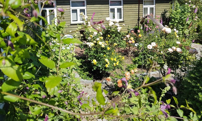 Sieverstedt Apartamento | Holiday apartment in a quiet location on a large natural plot