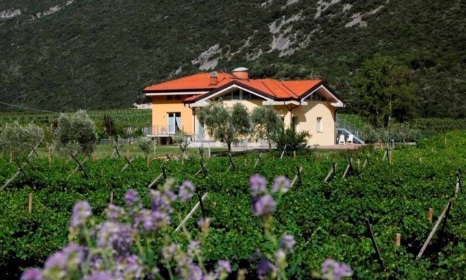 Ceniga Apartamento | Apartamento vacacional en una zona tranquila y soleada en medio de viñas