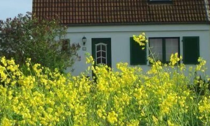 Ludershagen Apartamento | Apartamento de vacaciones Lüdershagen para 1 - 4 personas con 1 dormitorio - Apartamento