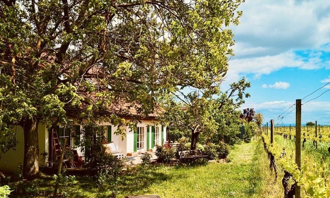 Bissersheim Apartamento | Holiday apartment "Portuguese Dreams" located on the vineyard