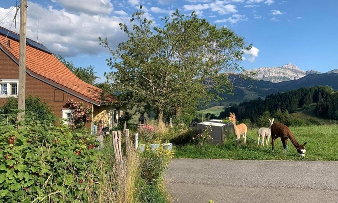 Rute Otro | Apartamento de vacaciones Urnäsch para 1 - 6 personas con 2 dormitorios - Casa rural