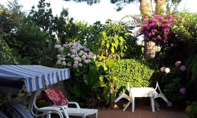 Barano d'Ischia Apartamento | Apartamento mediterraneo