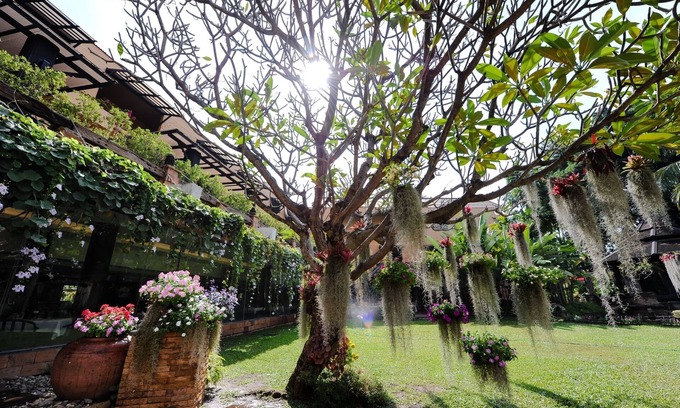 Chang Phueak Complejo | Holiday Garden Hotel & Resort Chiang Mai