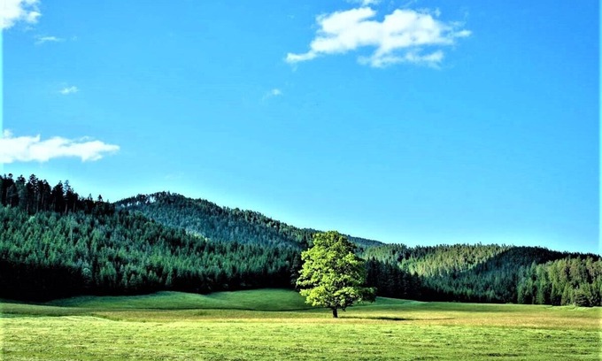Schwarzau im Gebirge Casa | Casa de vacaciones Höblinghof