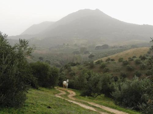 Villanueva de San Juan Casa | Holiday Home in Villanueva near El Terril Peak