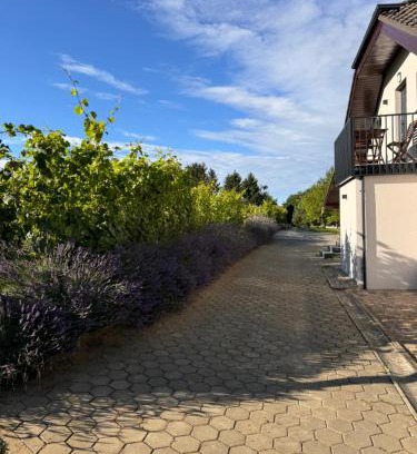 Moravske Toplice Apartamento | Holiday home Ana