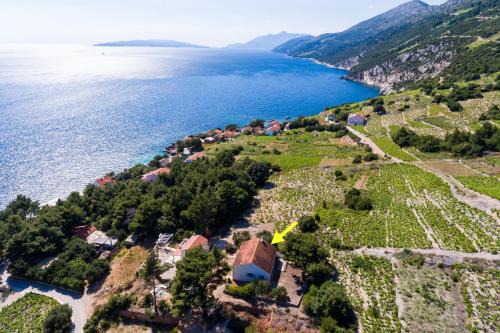 Orebic Casa | Holiday Home Blue Vineyard