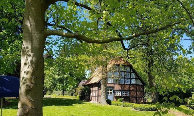 Borchel Casa | Holiday home for 2 guests with 120m² in Rotenburg-Borchel (186095)