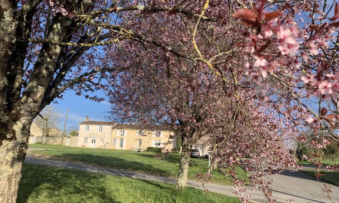 Montignac-Charente Casa | Casa de vacaciones 'La Maison D'eloi' con piscina compartida, terraza privada y Wi-Fi